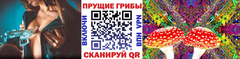 купить закладку  Учалы  Псилоцибиновые грибы Cubensis 